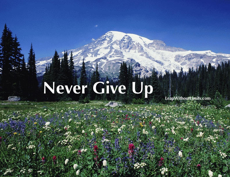 Never Give Up MTNSCP